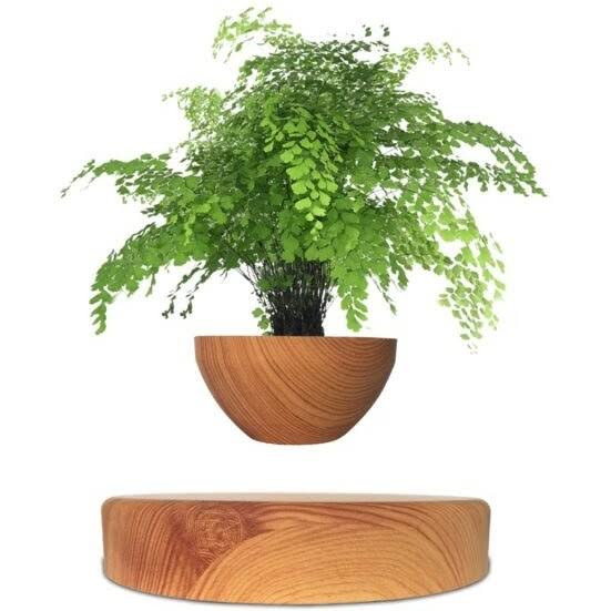 گلدون معلق مغناطیسی مدل گرد